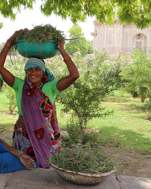 Clean-water-in-india-newco-pro-2